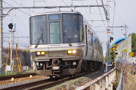 IMGP7433