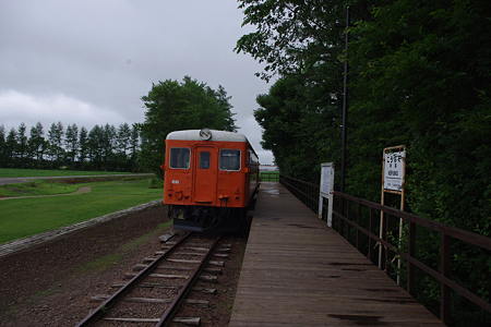 IMGP2450