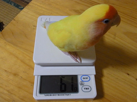 8/26
