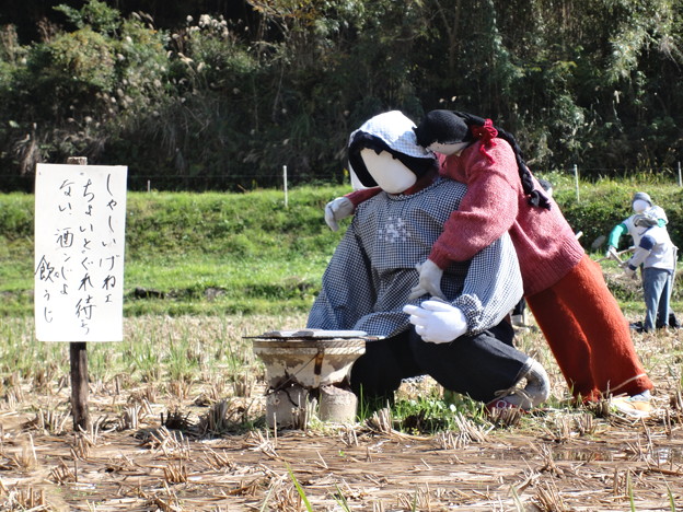 やまくにかかしワールド 写真共有サイト フォト蔵