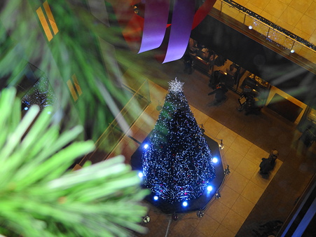 ミッドランドスクエアクリスマスツリー3