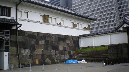 IMGP5119