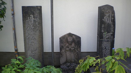 IMGP5524