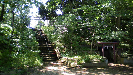 IMGP5581