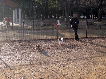 DSCN1514
