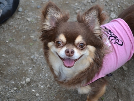 DSC_0066 (2)