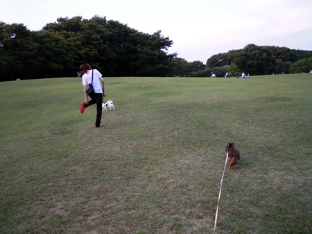 DSCN4855