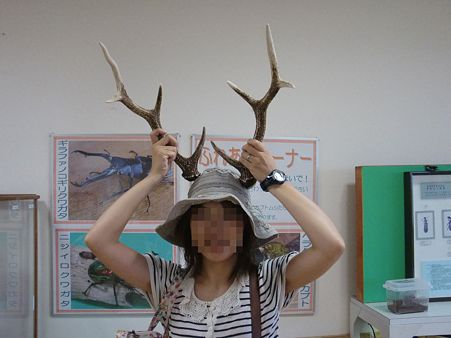 角が生えた嫁