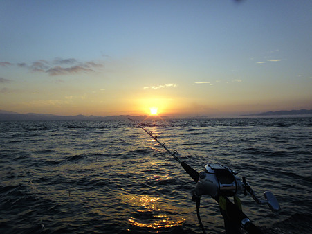 DSC03234