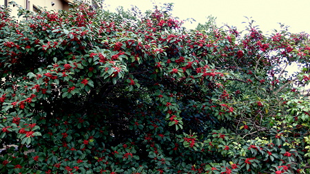 L1070228