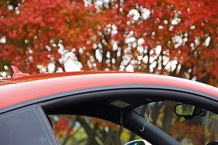 はなくそじゃないよ