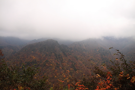 標高９００ｍ