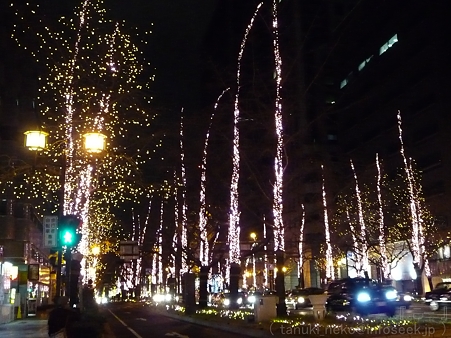111229-御堂筋イルミネーション (18)