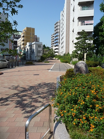 110622-東横廃線 反町→横浜 (82)