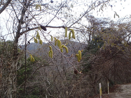 12032510