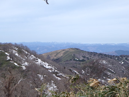 2012041501