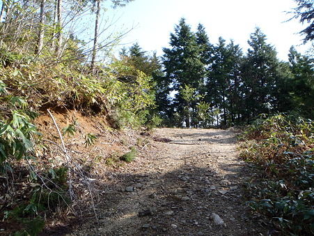 2012050505
