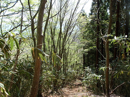 2012050521