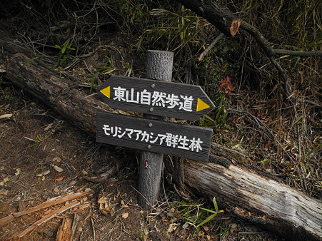 DSCN0430
