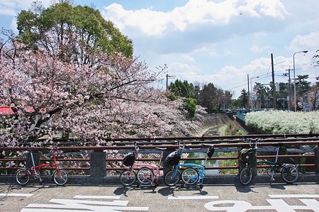 極楽橋とBrompton