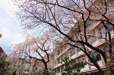 大阪府立桜塚高校　中庭