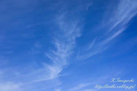 山頂で NEX-5 E18-55mm F3.5-5.6 OSS