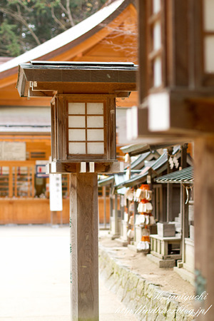 穂高神社 EOS7D EF50 F1.4