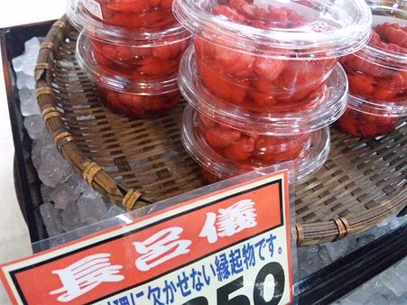 SH3I0500