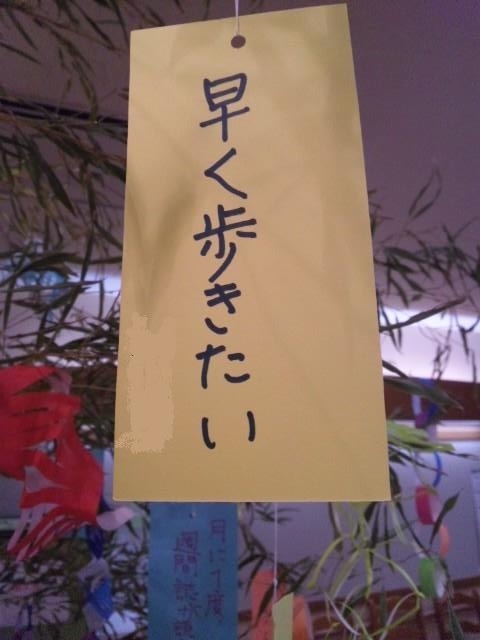 SH3I0824