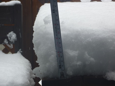 2012.02.29の雪