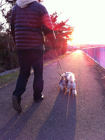 120101 くーかい*みらく 初日の出を見る 2