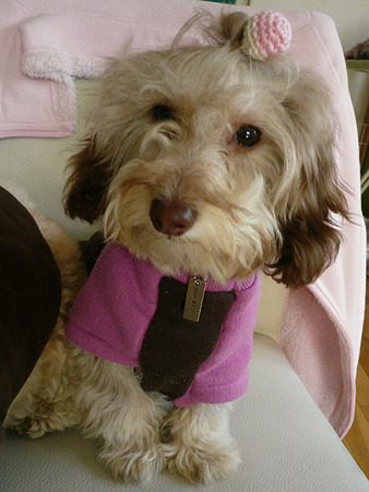 110411_miracle