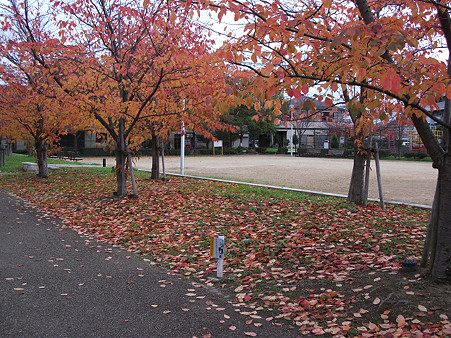 resize0321