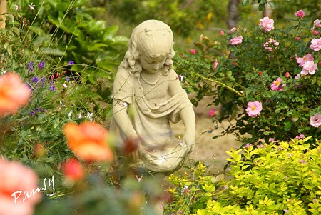 バラ園「薔薇の轍」・・7