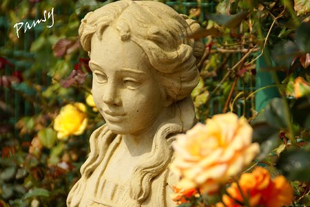 バラ園「薔薇の轍」・・10