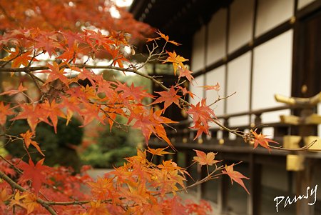 観修寺(かじゅうじ)・・5
