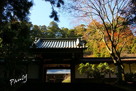 碧落門・・大雄山最乗寺さんぽ・・40