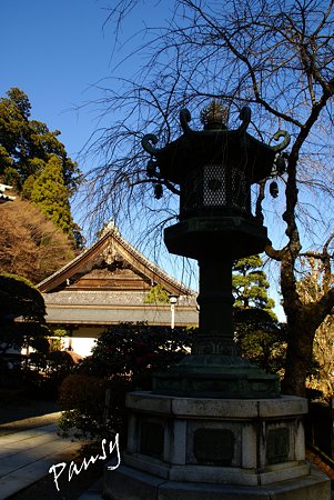 大雄山最乗寺さんぽ・・41