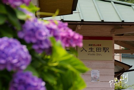 長興山紹太寺史跡さんぽ～1
