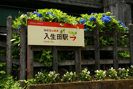 長興山紹太寺史跡さんぽ~2