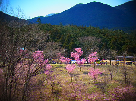 RIMG0180(1)