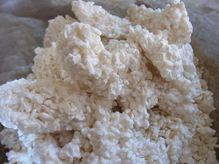RIMG0231(1)