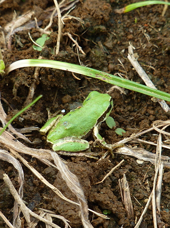 P1100346