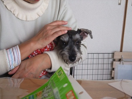 ラッシュ、その人がママだよ
