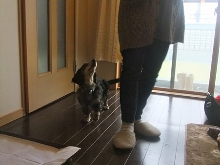 この人誰やろ?