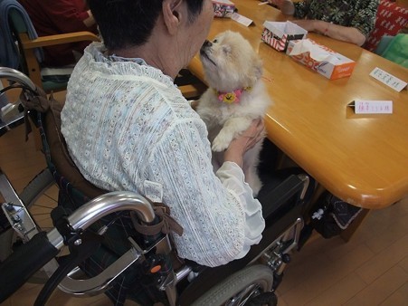 歓迎のぺろぺろ♪