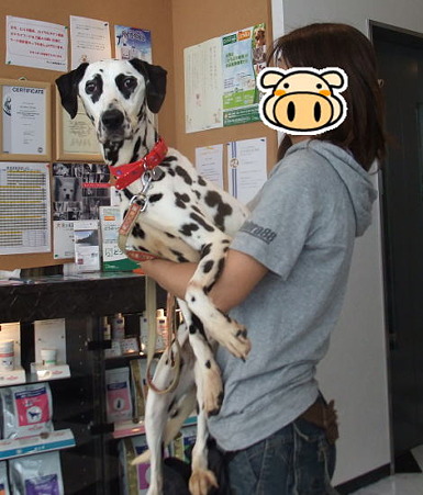 だっこ