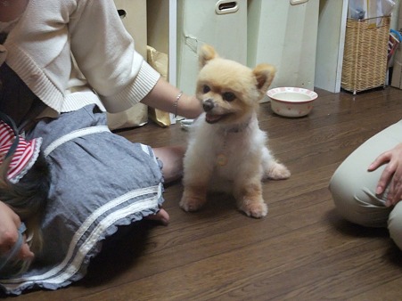 よろしくね♪
