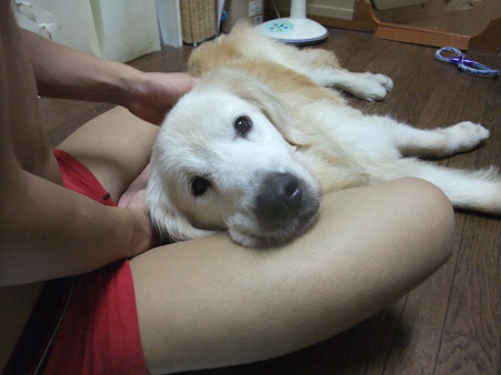 次男に甘える~