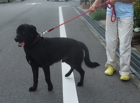 幸せの切符持って来るまで待っててね~